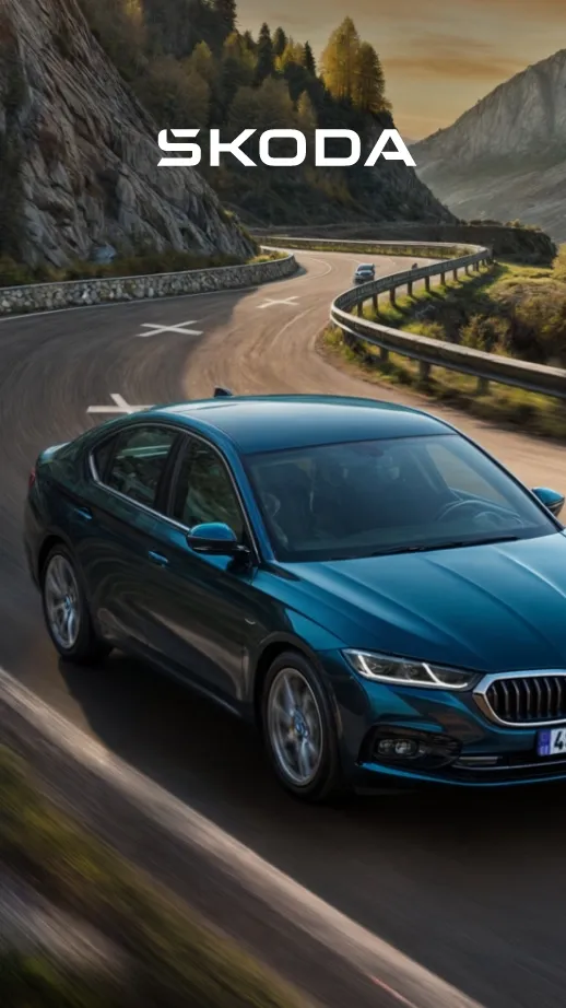 <p>Award-winning websites for Škoda Auto and their official car dealers. </p>